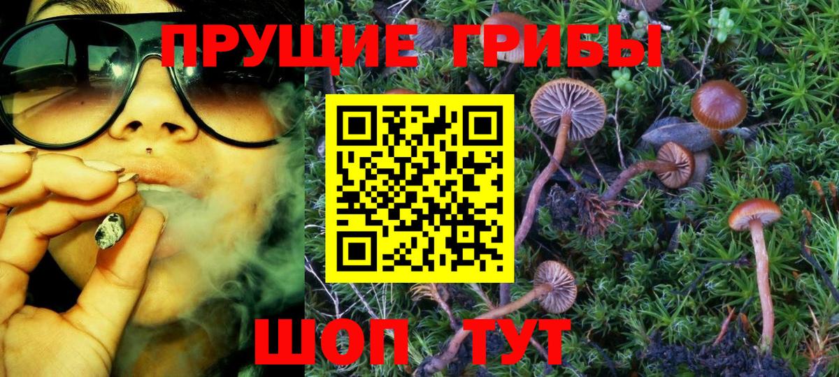 Галлюциногенные грибы мицелий Ирбит